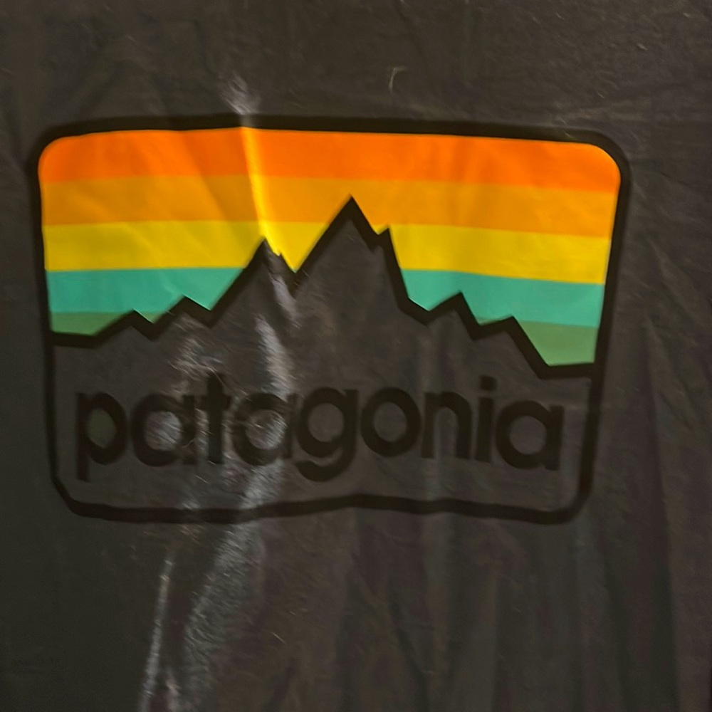 PATAGONIA RELAXED FIT TEE